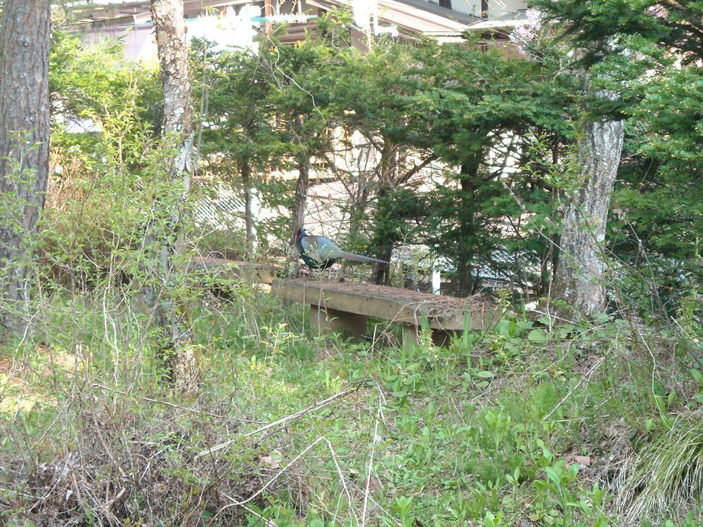 Hida Gasshoen 高山市 エクステリア 写真